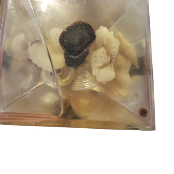 Vintage hard plastic paper weight with seashells and sea captain - Picture 5 of 5